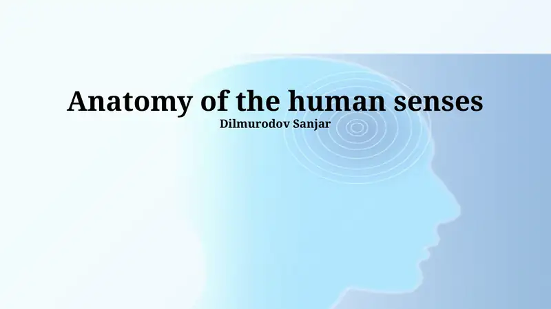 Anatomy of the human senses