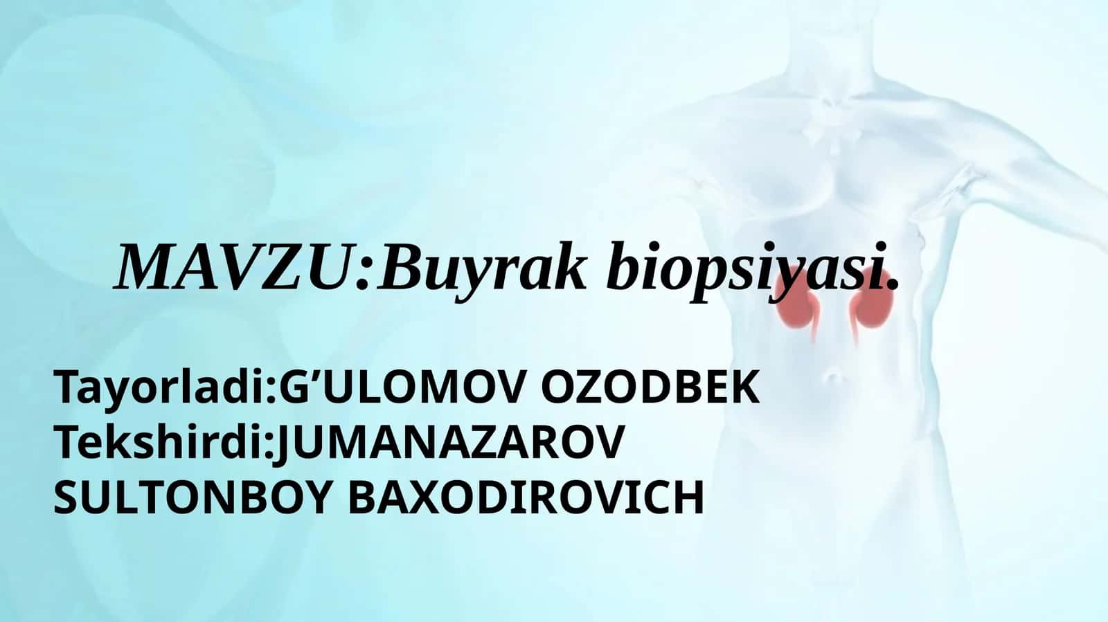 Buyrak biopsiyasi