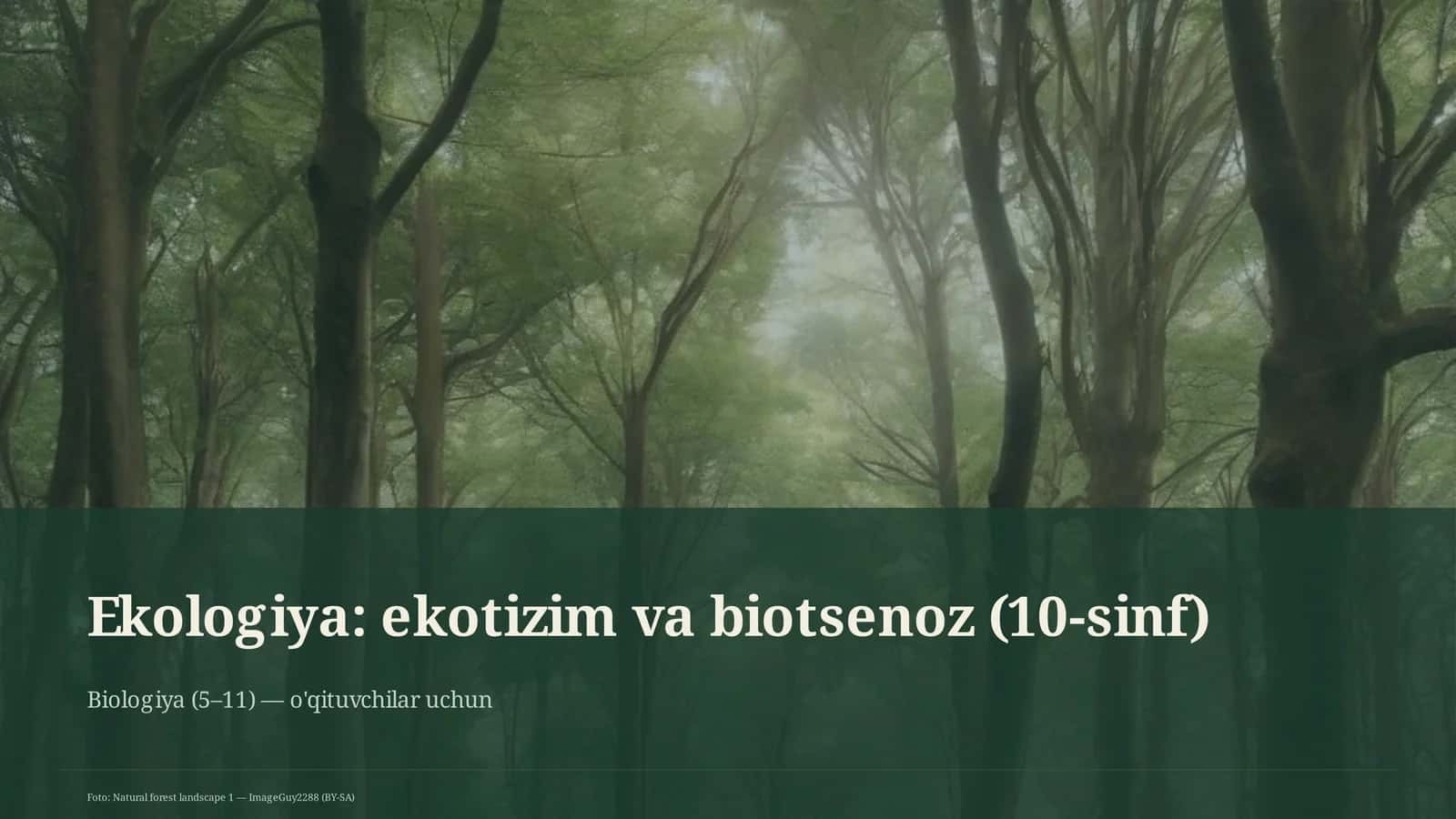 Ekologiya: ekotizim va biotsenoz (10-sinf)
