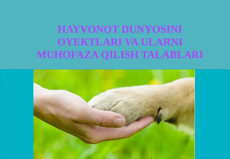 HAYVONOT DUNYOSINI OYEKTLARIVA ULARNI MUHOFAZA QILISH TALABLARI