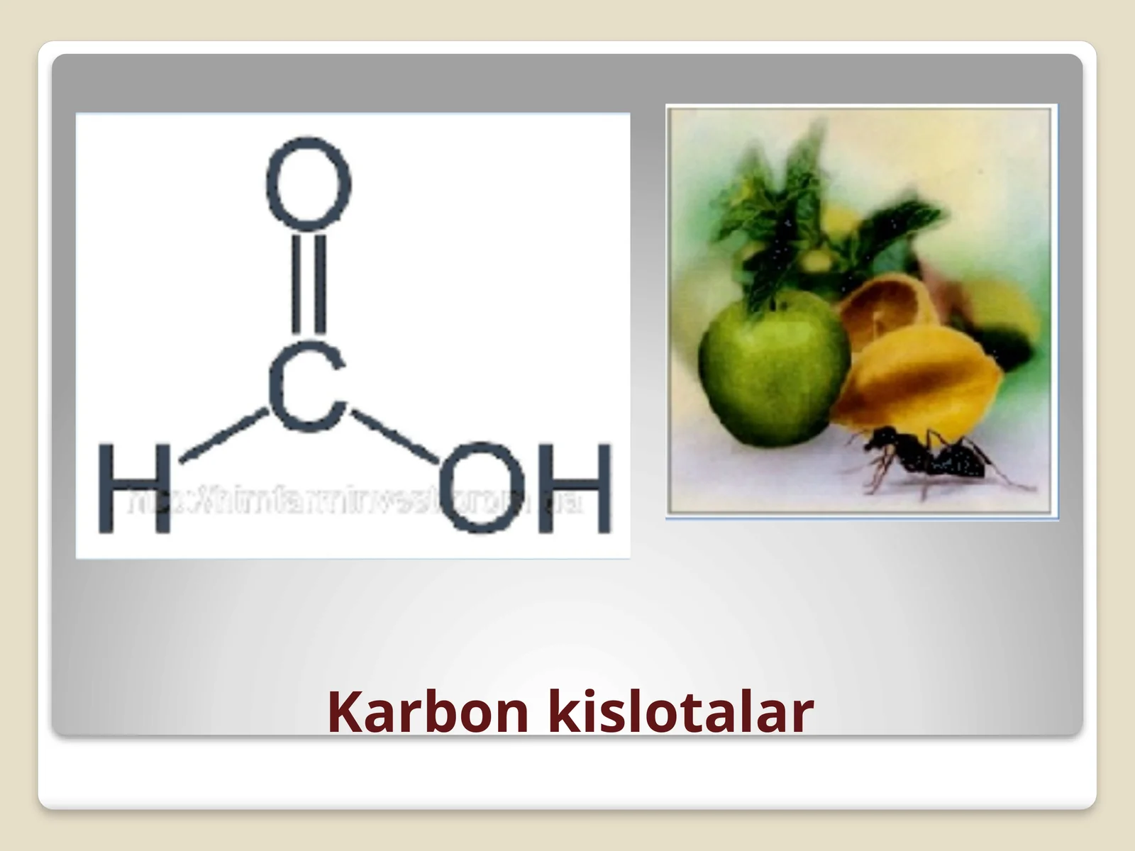 Karbon kislotalar