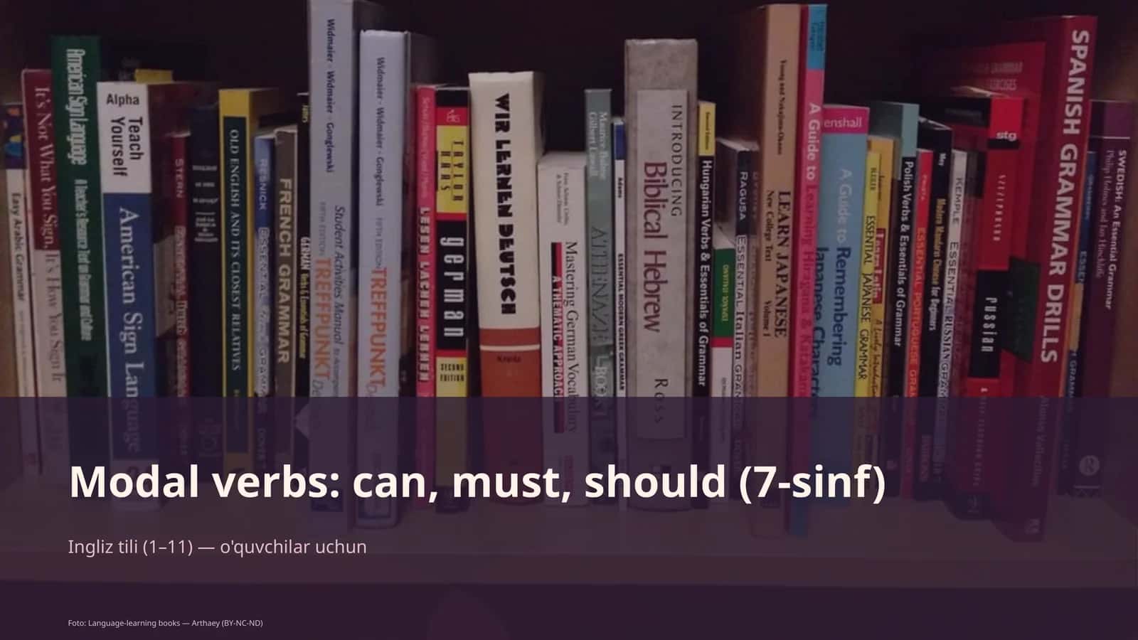 Modal verbs: can, must, should (7-sinf)