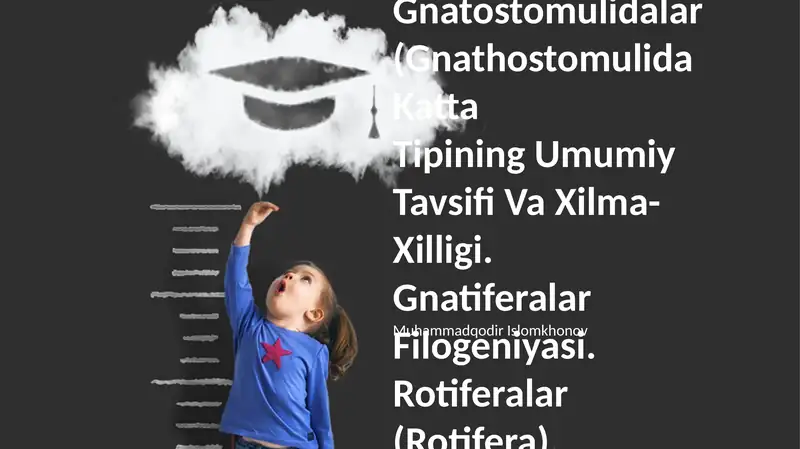 Gnatiferalar, Gnatostomulidalar, Rotiferalar, Kamptozolar, Siklioforalar