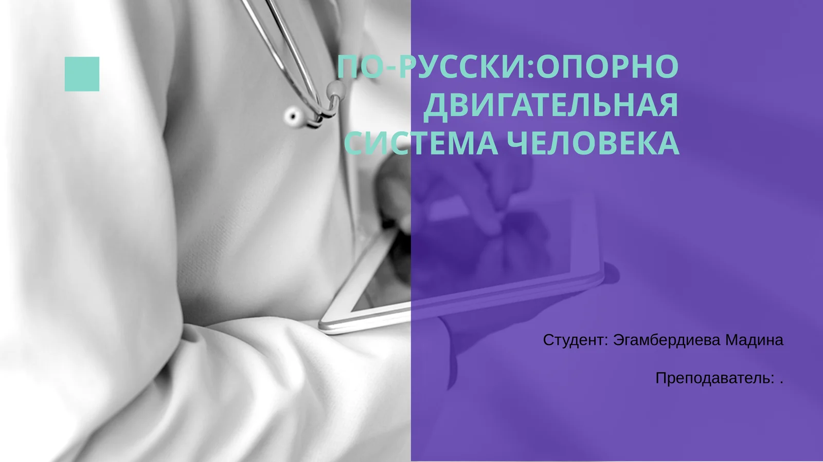 Опорно-двигательная система человека
