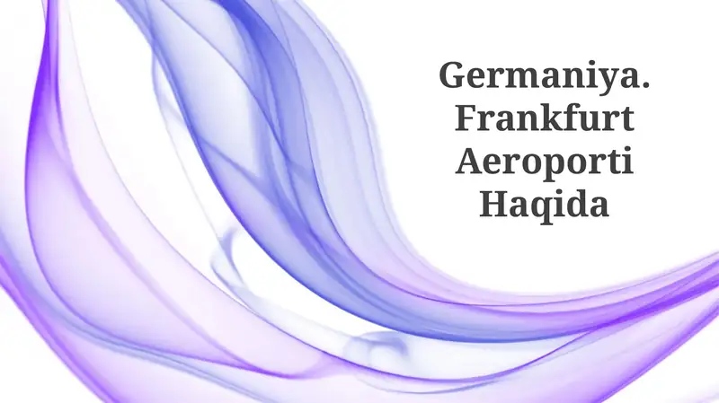 Frankfurt Aeroporti Haqida