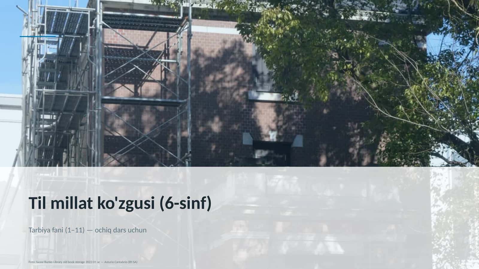 Til millat ko'zgusi (6-sinf)