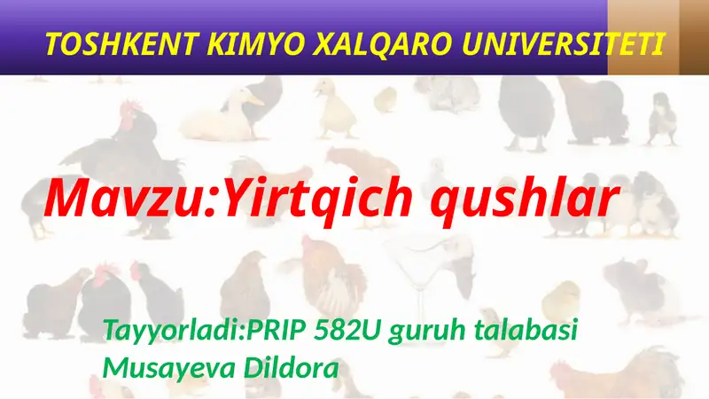 Yirtqichqushlar
