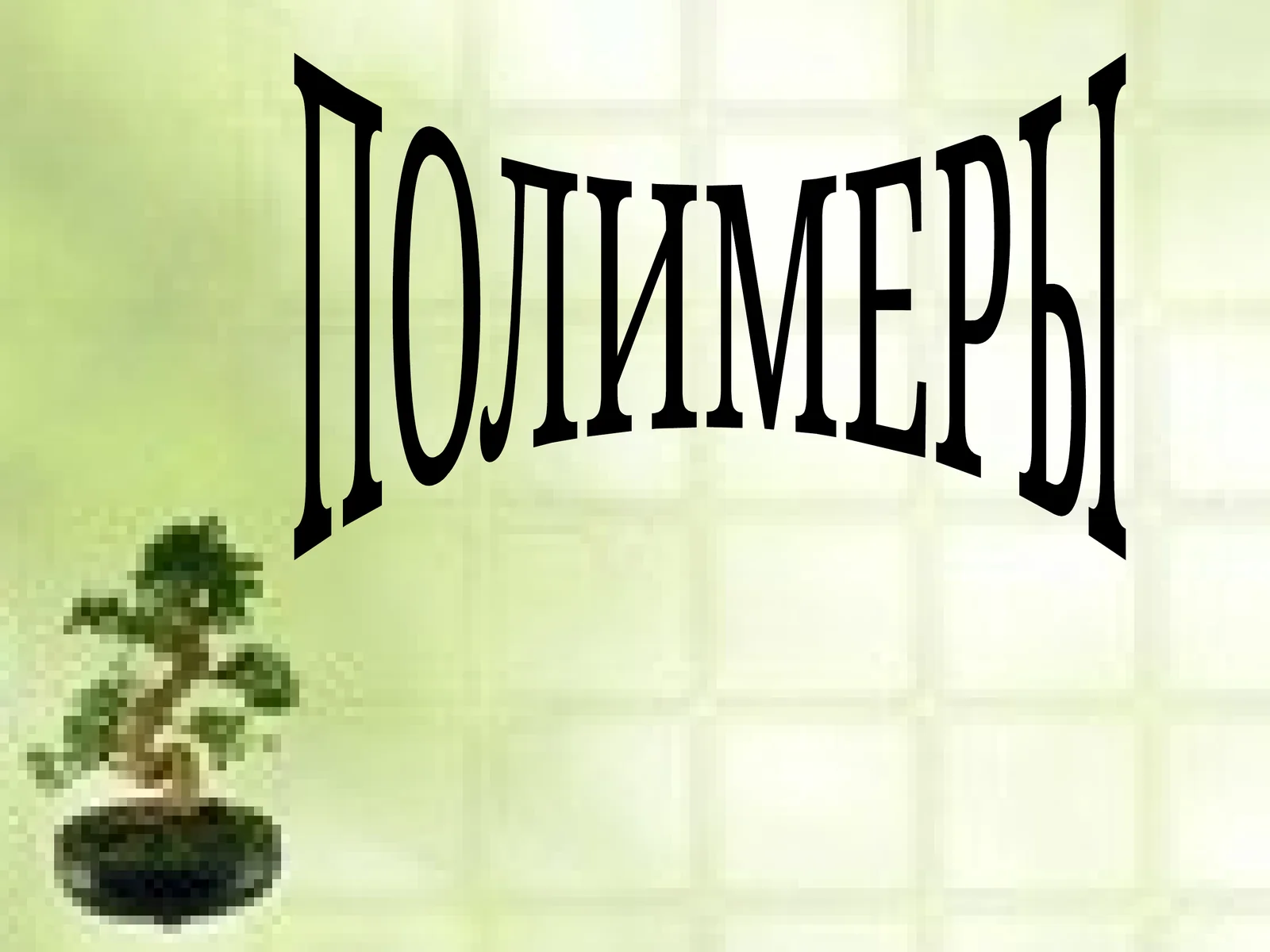 ПОЛИМЕРЫ