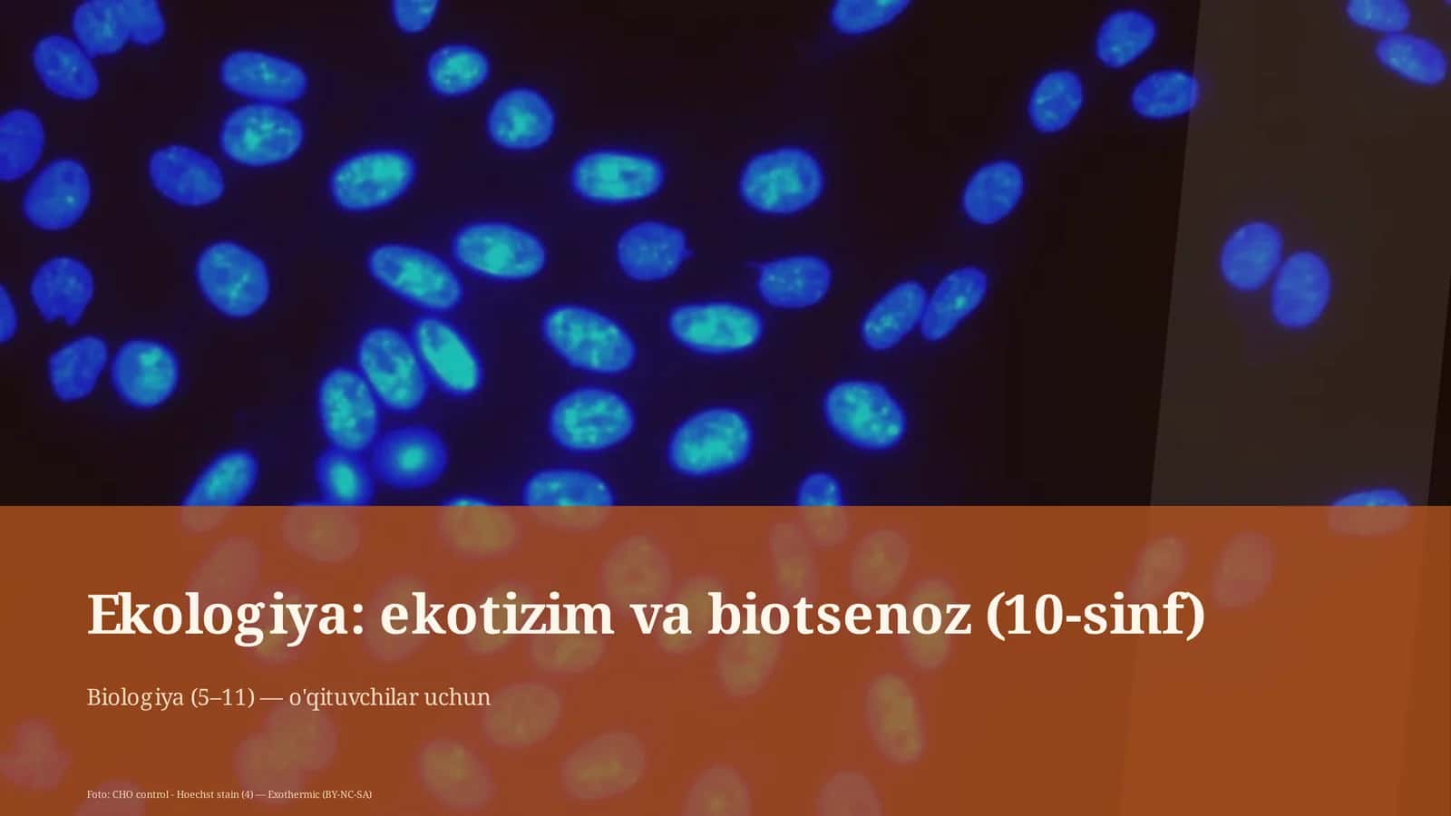 Ekologiya: ekotizim va biotsenoz (10-sinf)