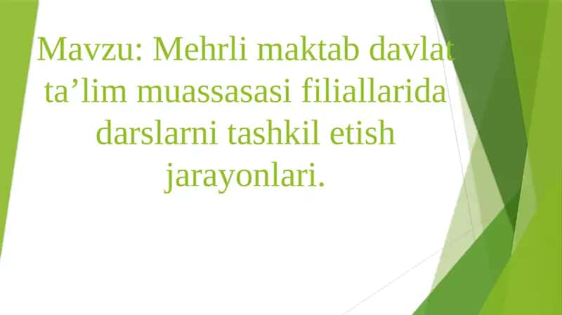 Mehrli maktab davlat ta’lim muassasasi filiallarida darslarni tashkil etish jarayonlari.