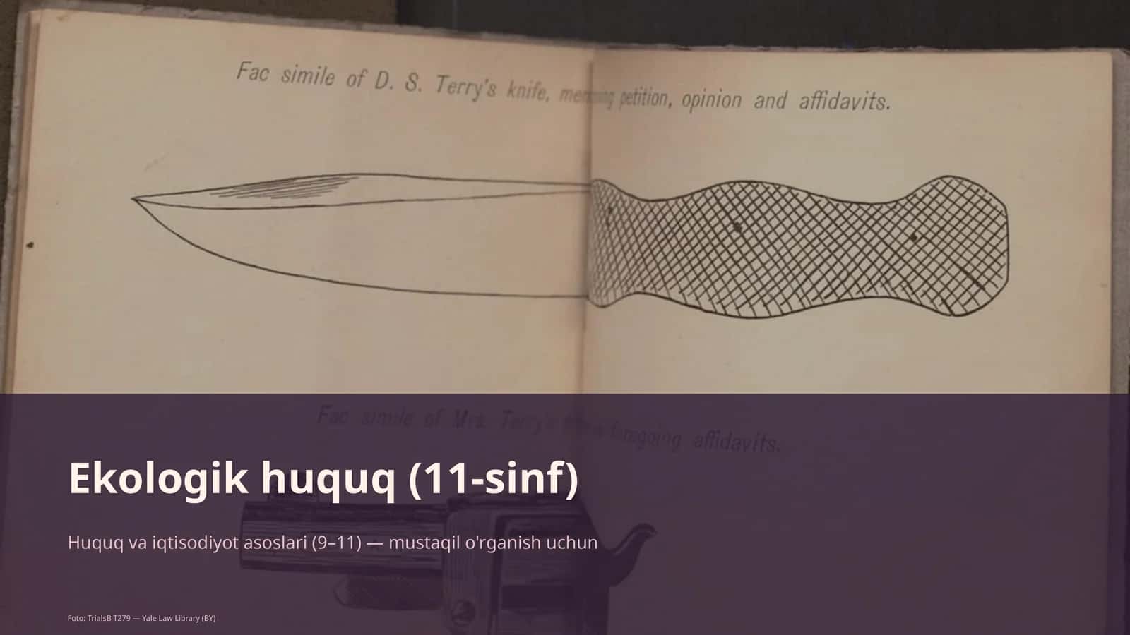 Ekologik huquq (11-sinf)