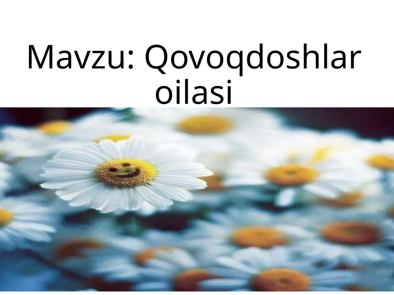 Qovoqdoshlar oilasi