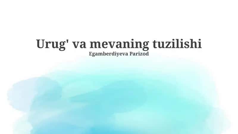 Urug' va mevaning tuzilishi