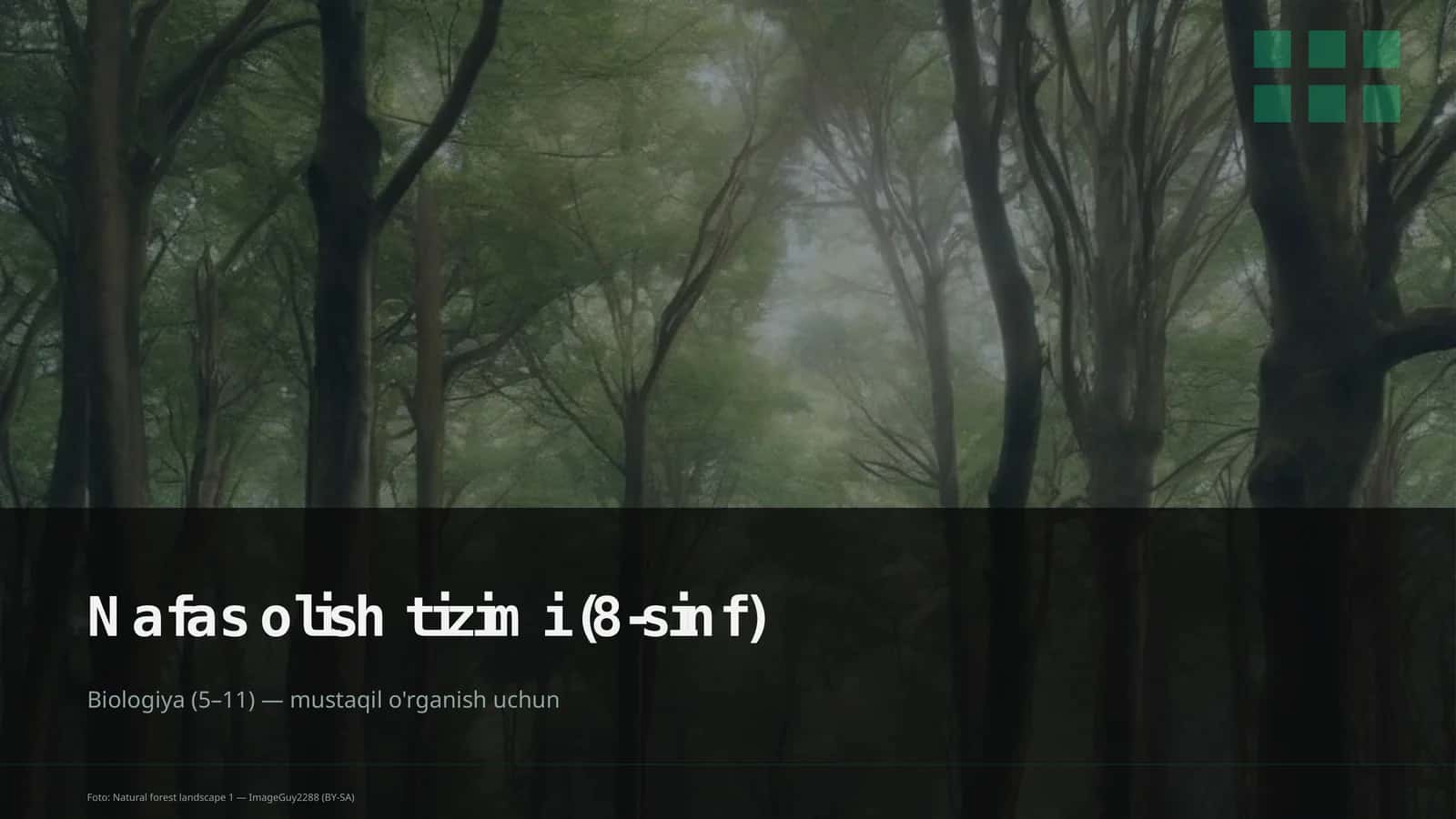 Nafas olish tizimi (8-sinf)