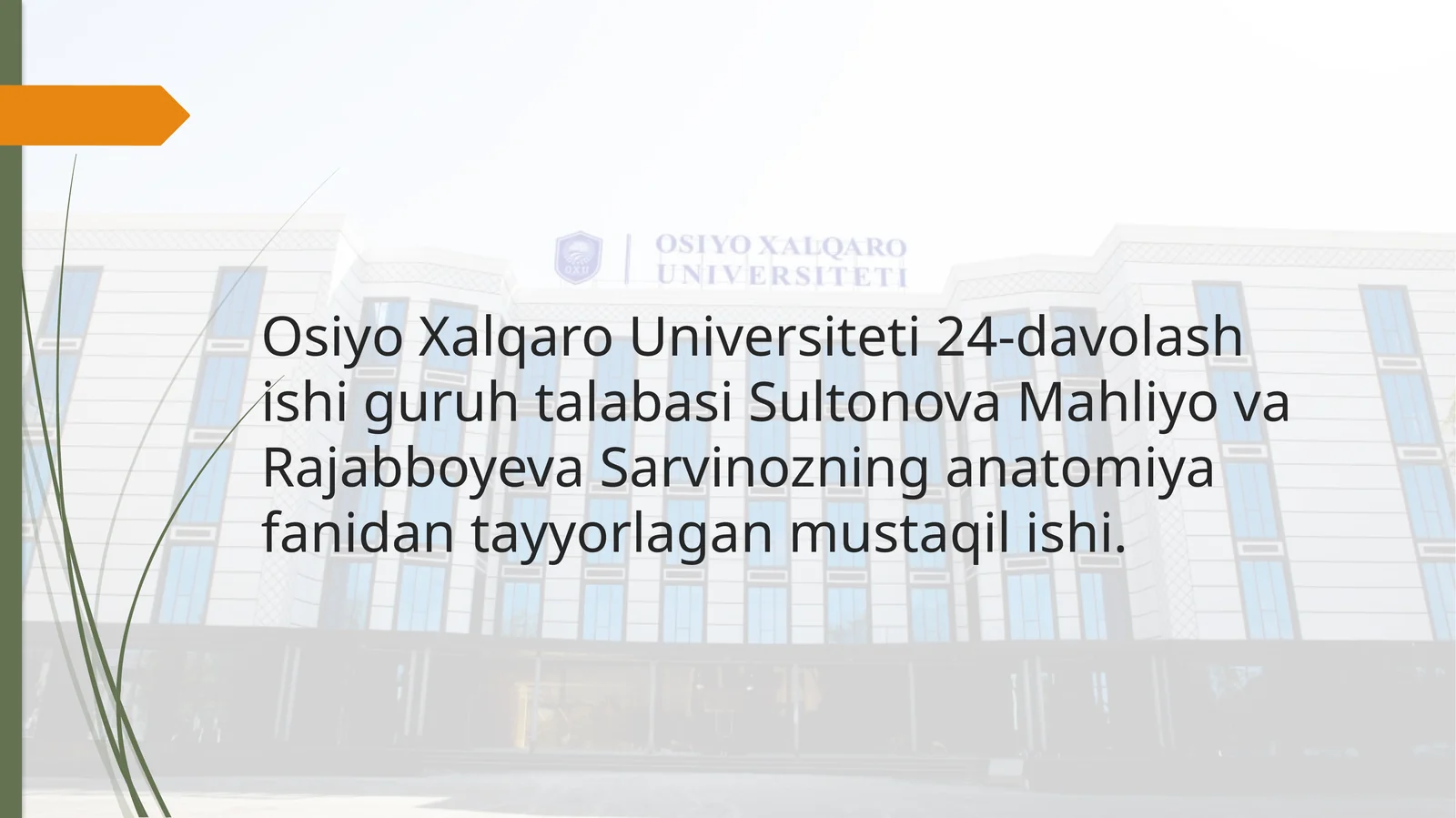 Nafas olish jarayoni. Nafas a'zolarining rentgen anatomiyasi va rivojlanish nuqsonlari