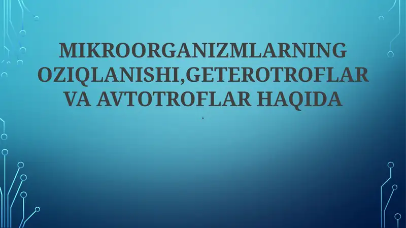 Geterotrof va Avtotroflarning Ekologik Rollari