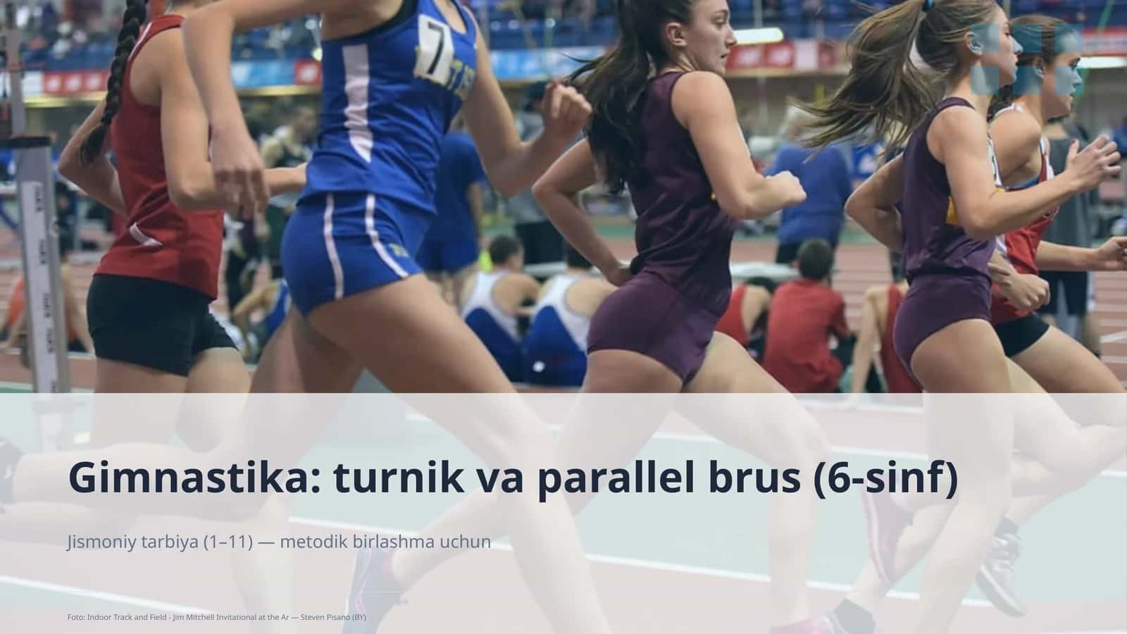 Gimnastika: turnik va parallel brus (6-sinf)