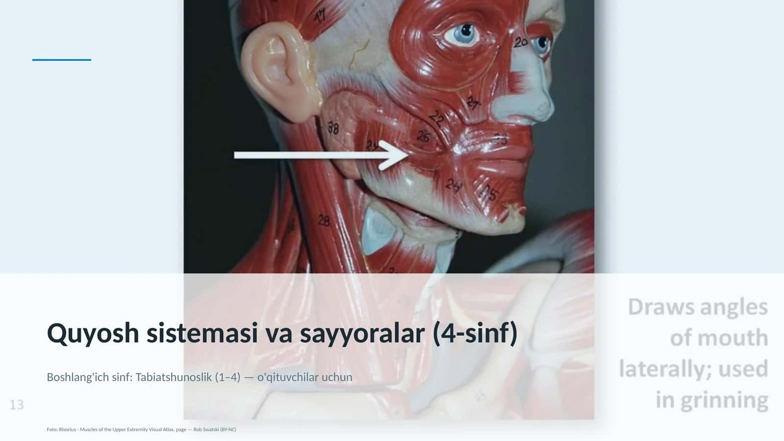 Quyosh sistemasi va sayyoralar (4-sinf)