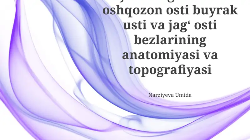 Hayvon organizimida oshqozon osti buyrak usti va jag' osti bezlarining anatomiyasi va topografiyasi