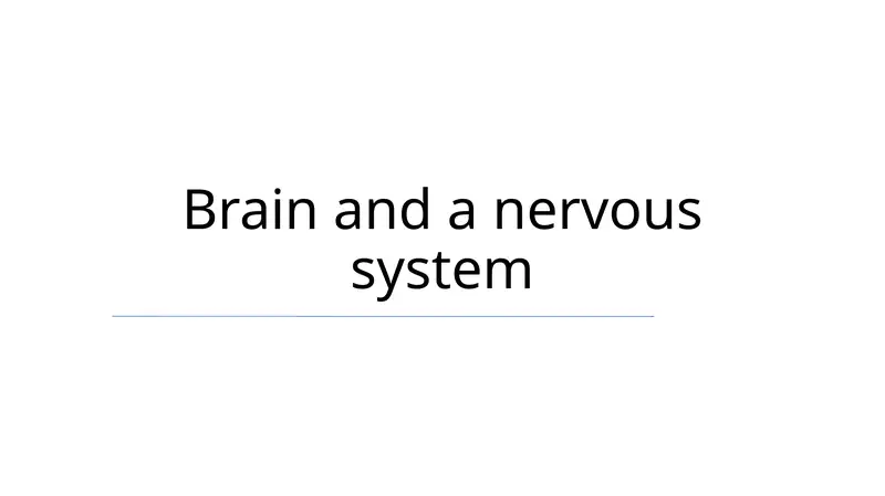 Brain and a nervous system