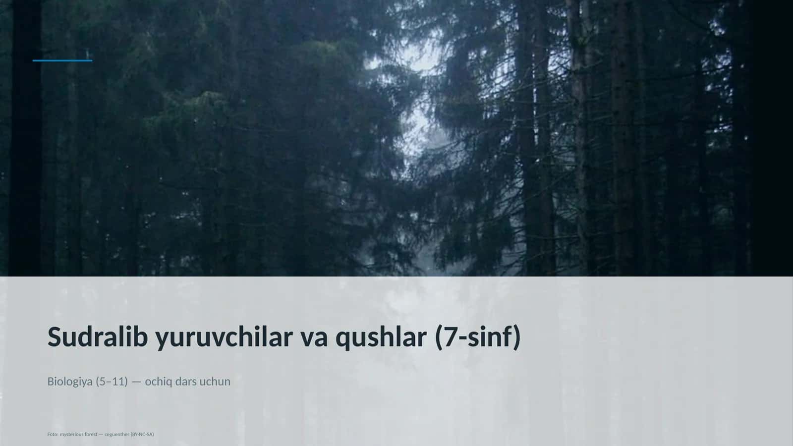 Sudralib yuruvchilar va qushlar (7-sinf)