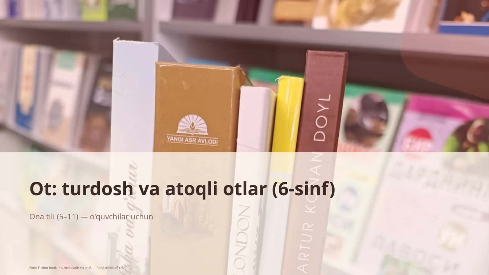 Ot: turdosh va atoqli otlar (6-sinf)
