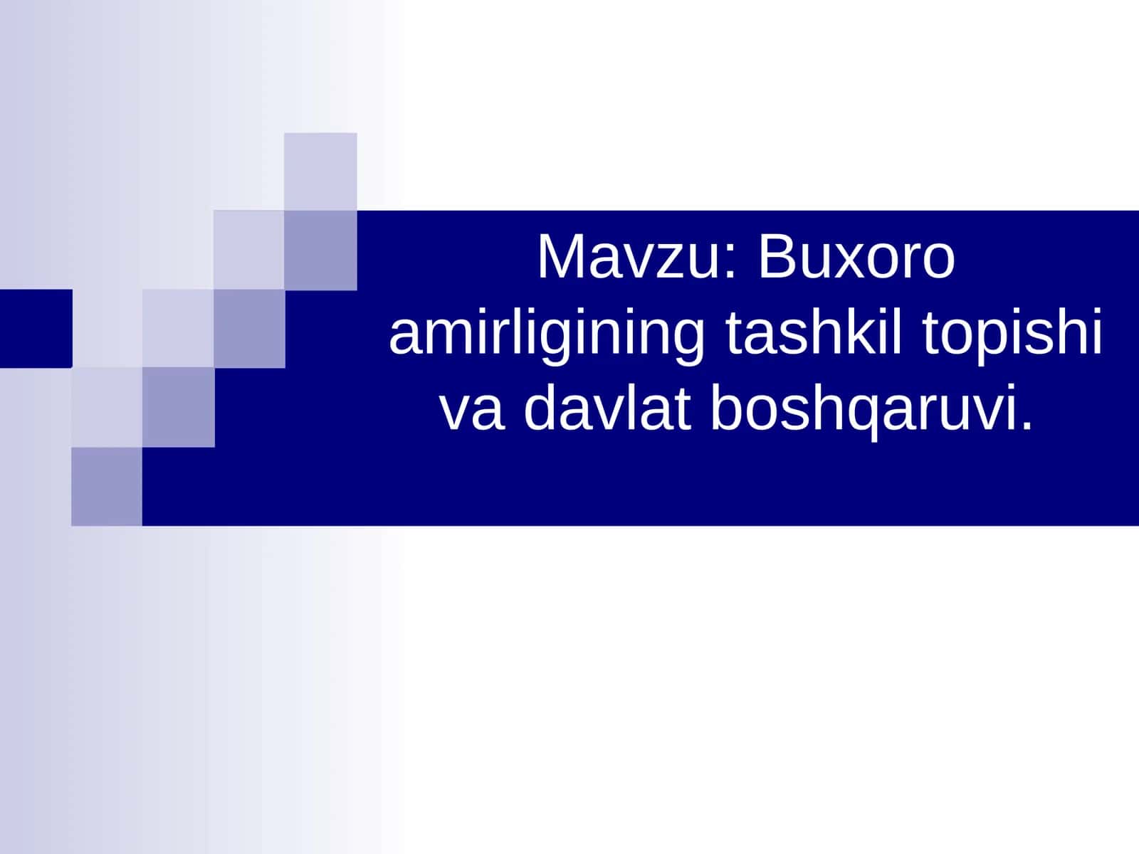 Buxoro amirligining tashkil topishi va davlat boshqaruvi