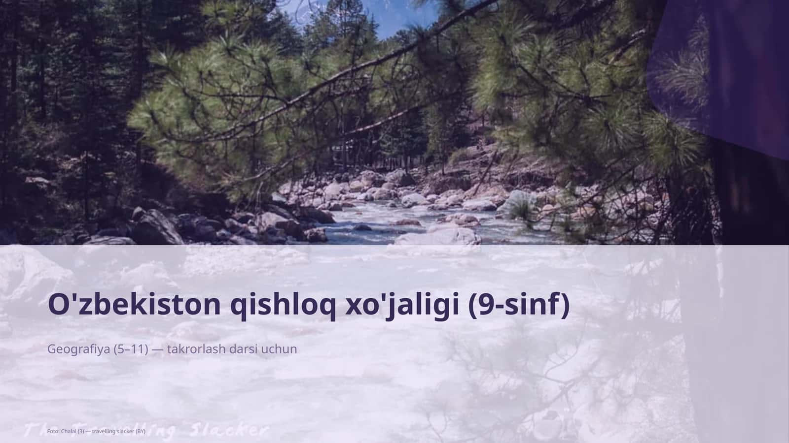 O'zbekiston qishloq xo'jaligi (9-sinf)