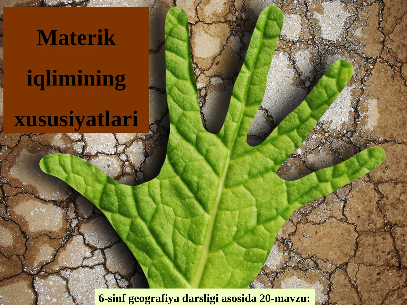 Materik iqlimining xususiyatlari