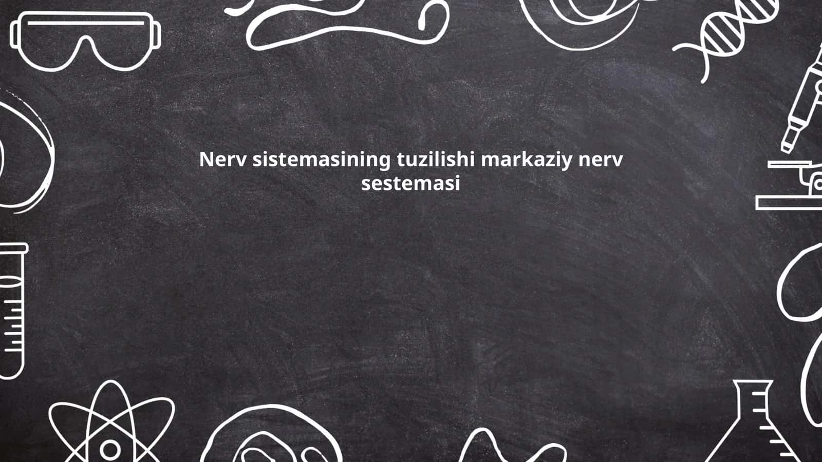 Nerv sistemasining tuzilishi markaziy nerv sestemasi