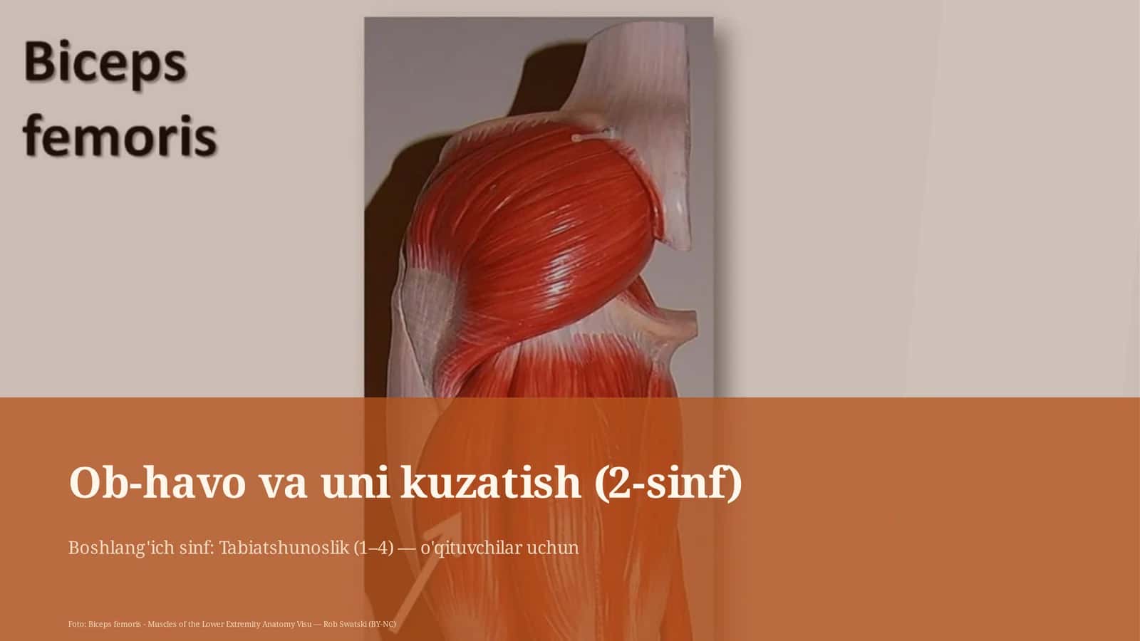 Ob-havo va uni kuzatish (2-sinf)