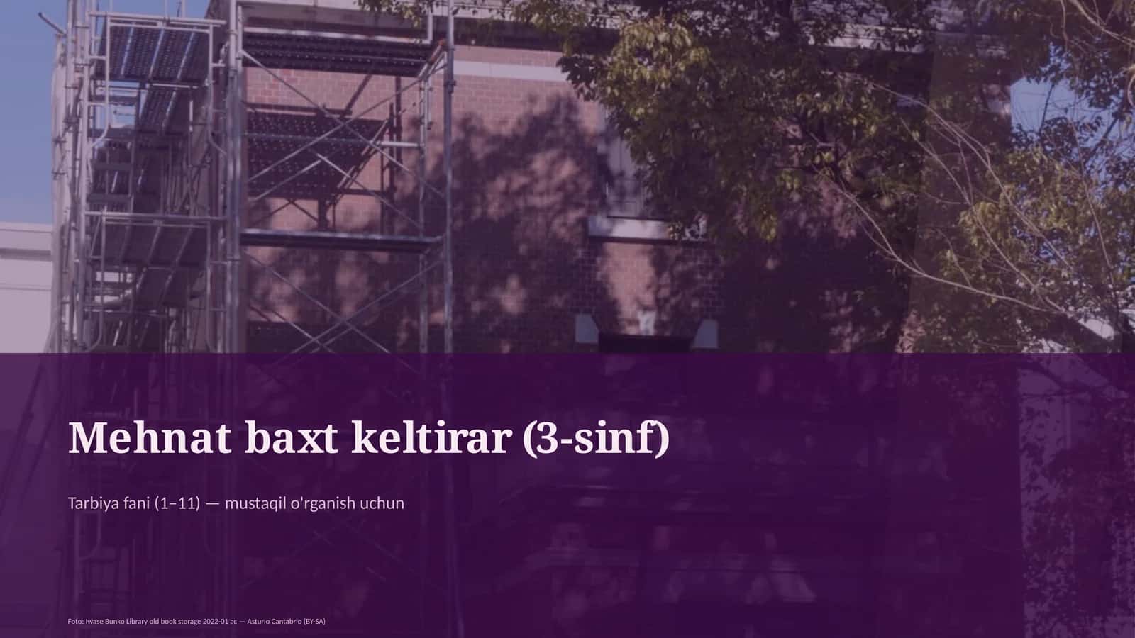 Mehmat baxt keltirar (3-sinf)