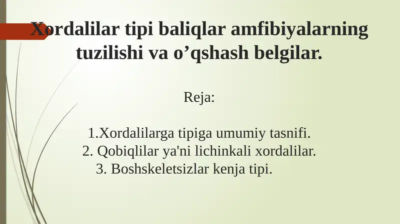 Xordalilar tipi baliqlar amfibiyalarning tuzilishi va o’xshash belgilar.