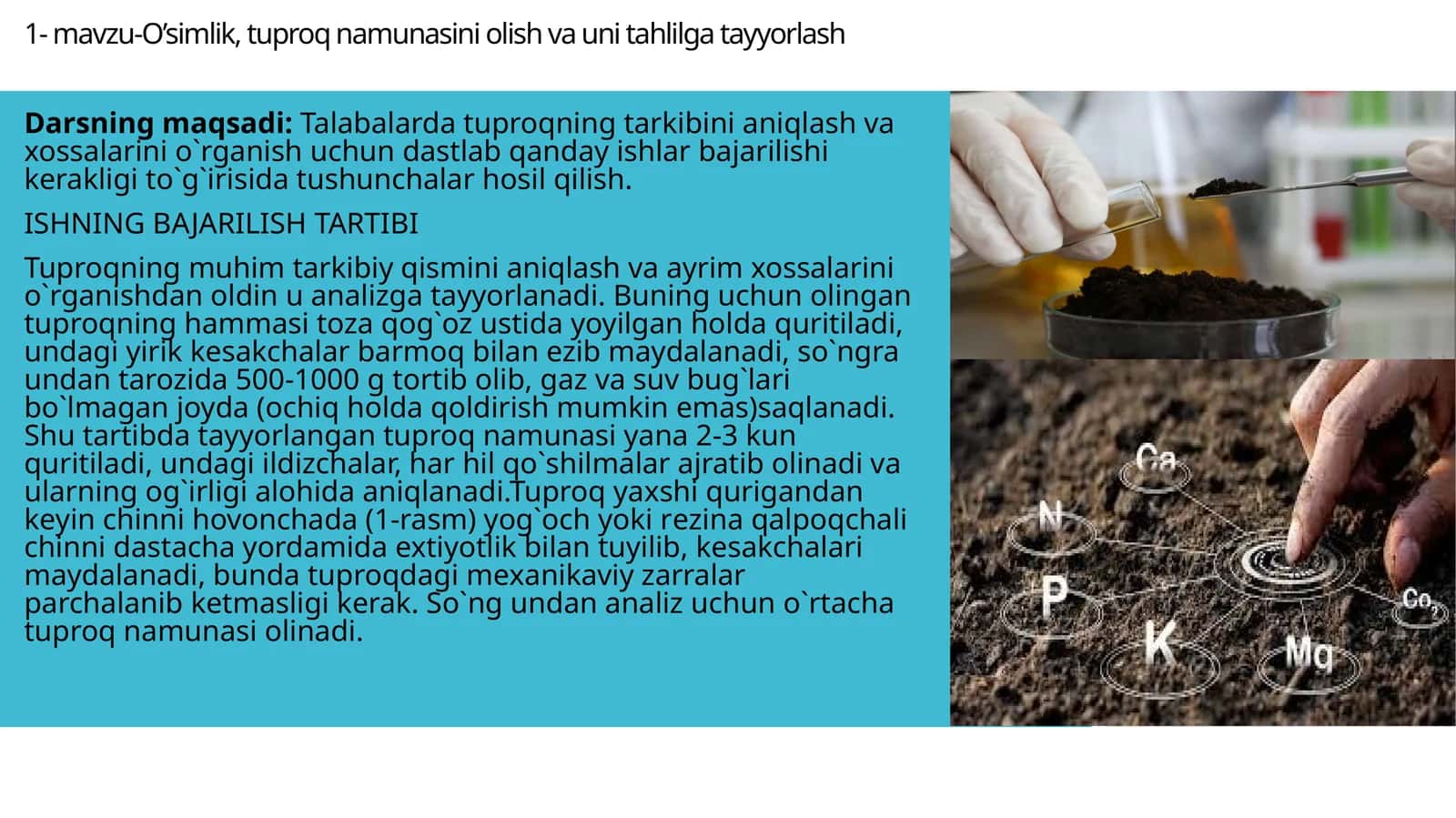 O’simlik, tuproq namunasini olish va unini tahlil qilishga tayyorldash