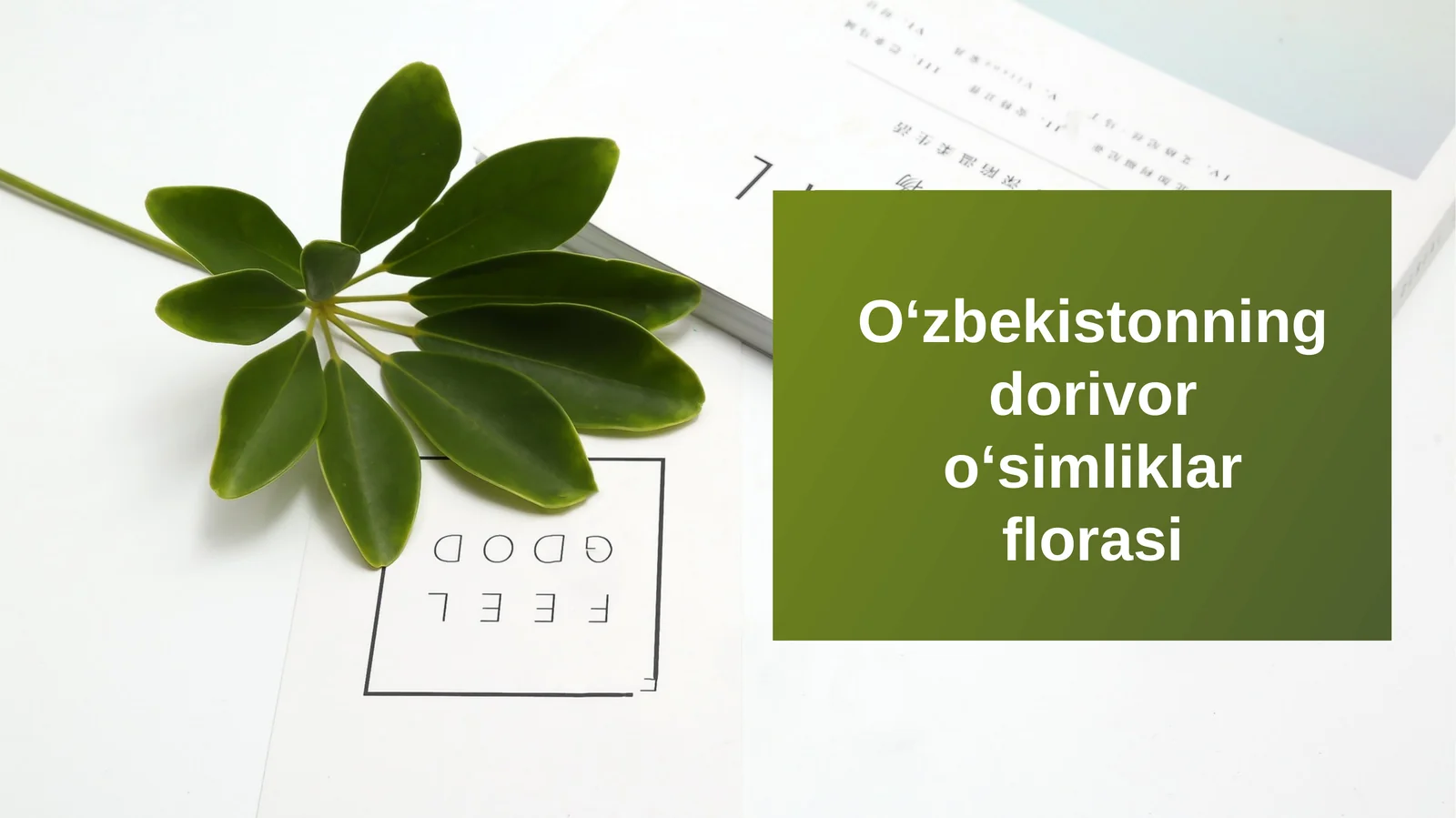Oʻzbekistonningdorivoroʻsimliklarflorasi