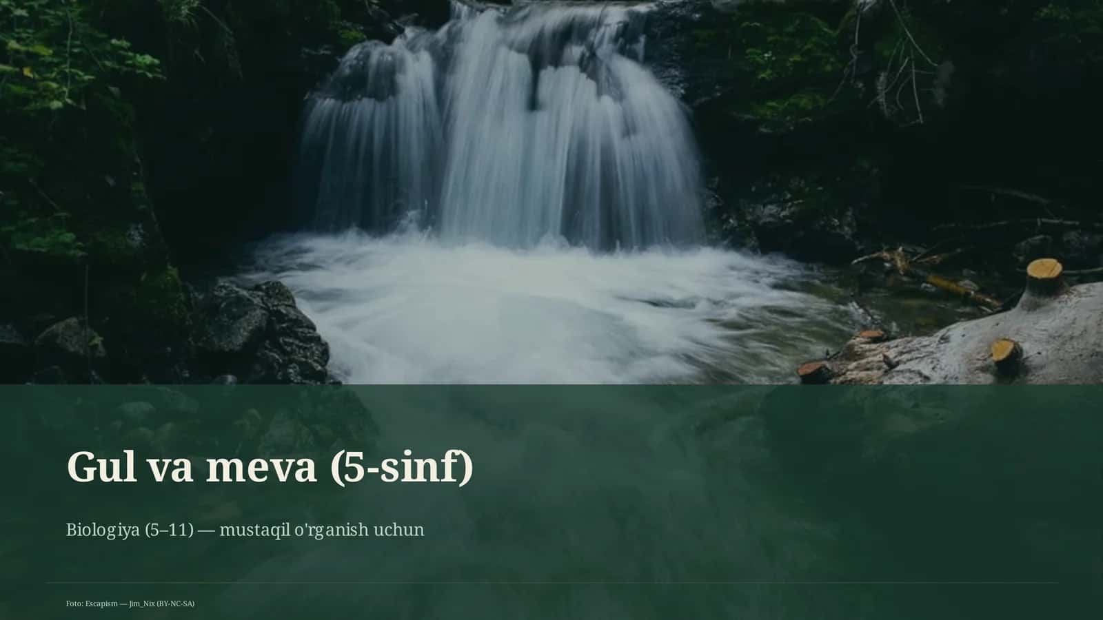 Gul va meva (5-sinf)