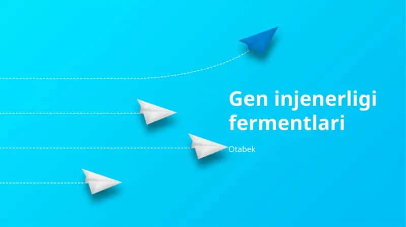 Gen injenerligi fermentlari