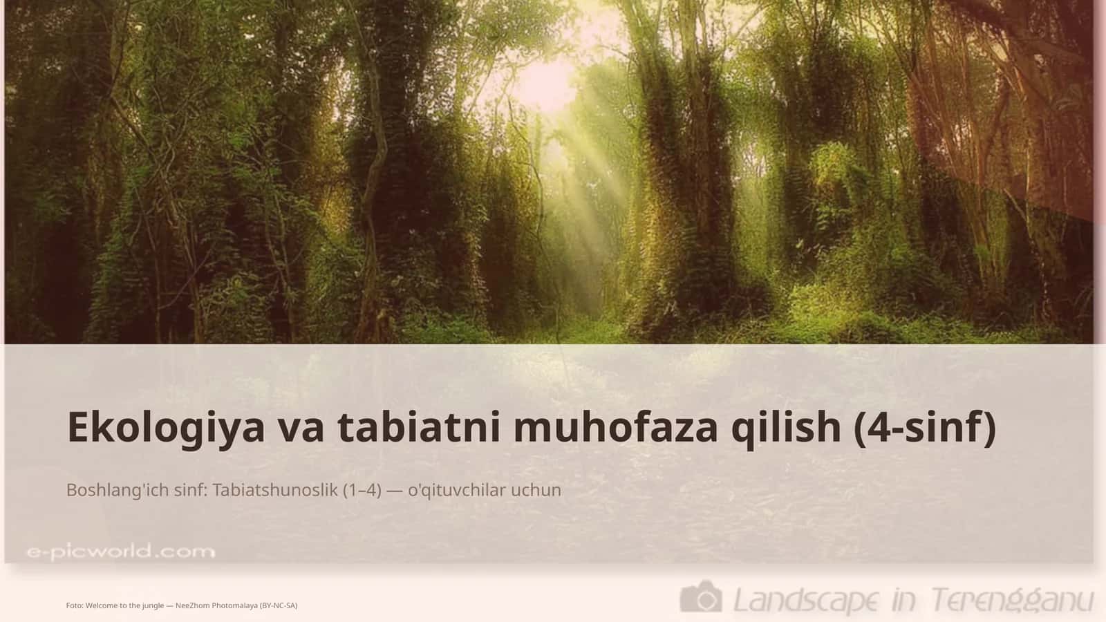 Ekologiya va tabiatni muhofaza qilish (4-sinf)