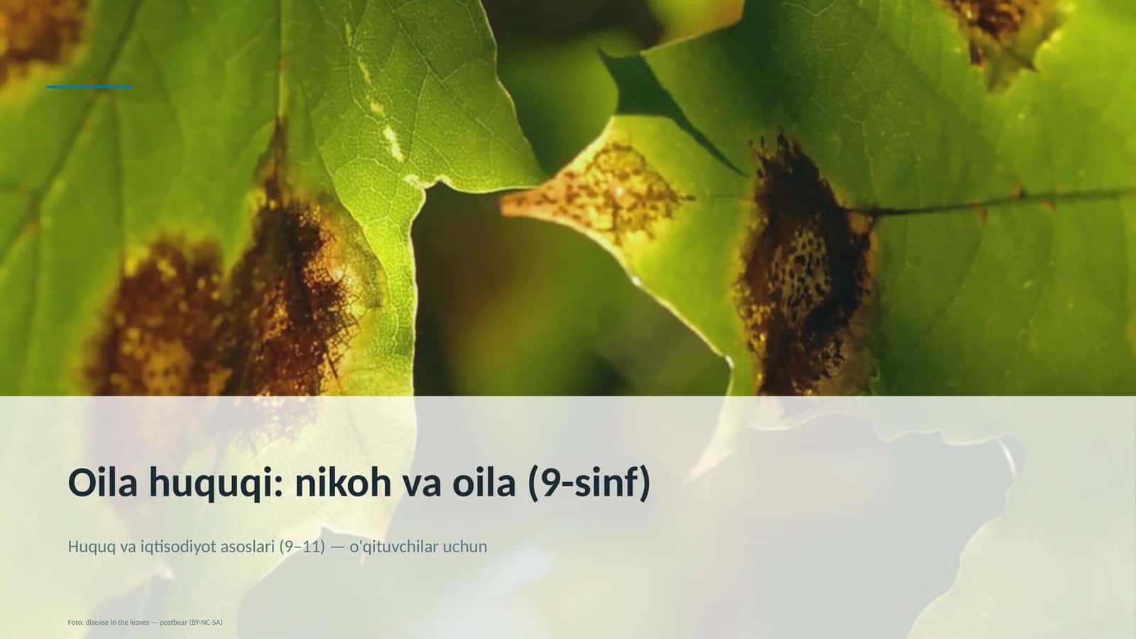 Oilahuquqi: nikoh va oila (9-sinf)