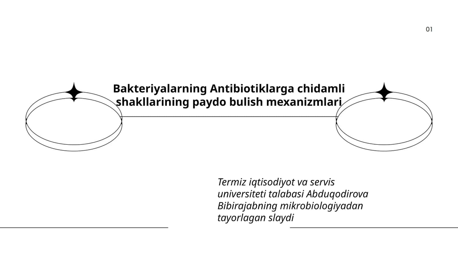 Bakteriyalarning Antibiotiklarga chidamli shakllarining paydo bulish mexanizmlari