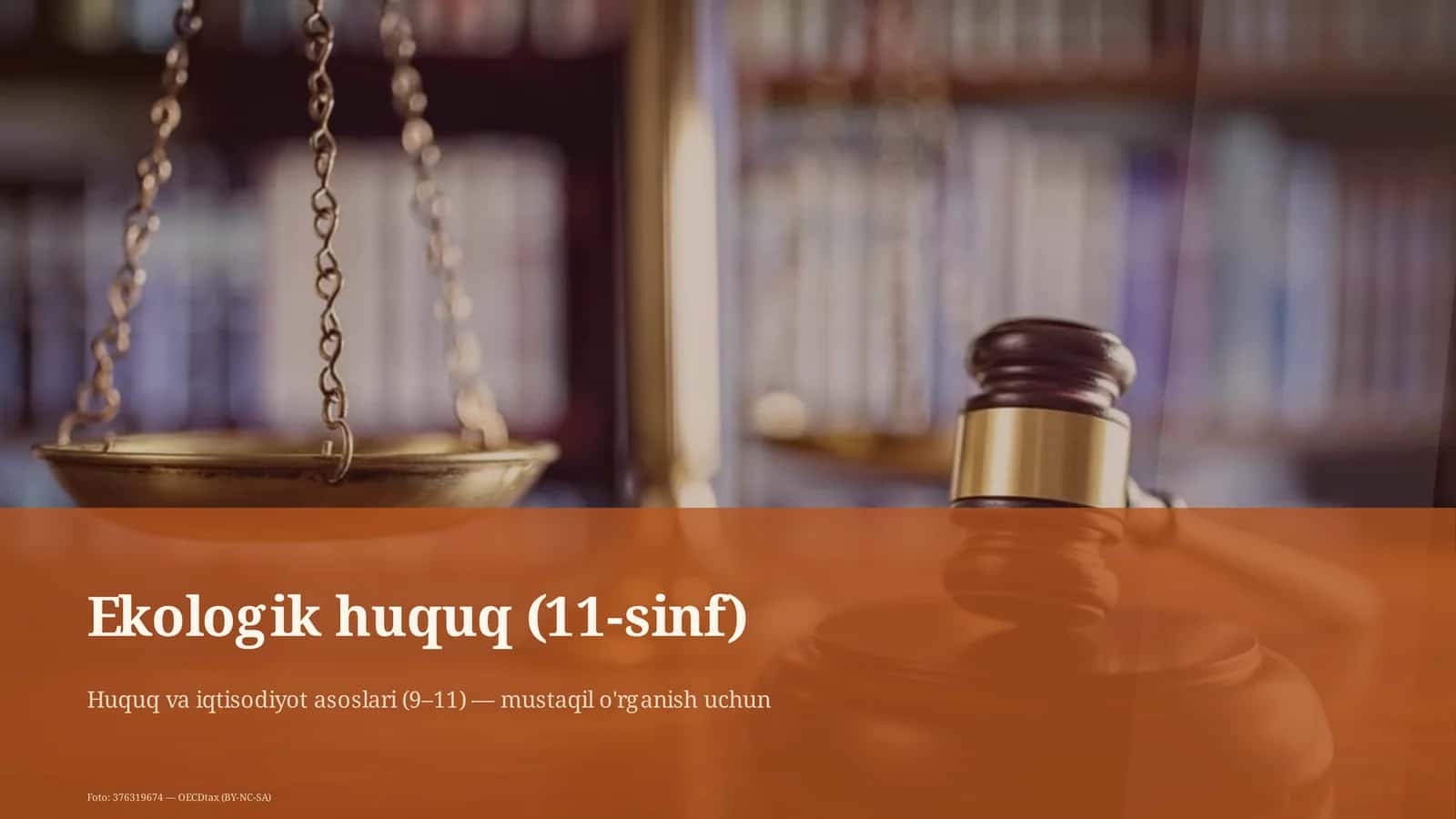 Ekologik huquq