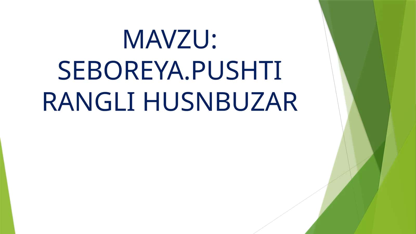 SEBOREYA.PUSHTI RANGLI HUSNBUZAR