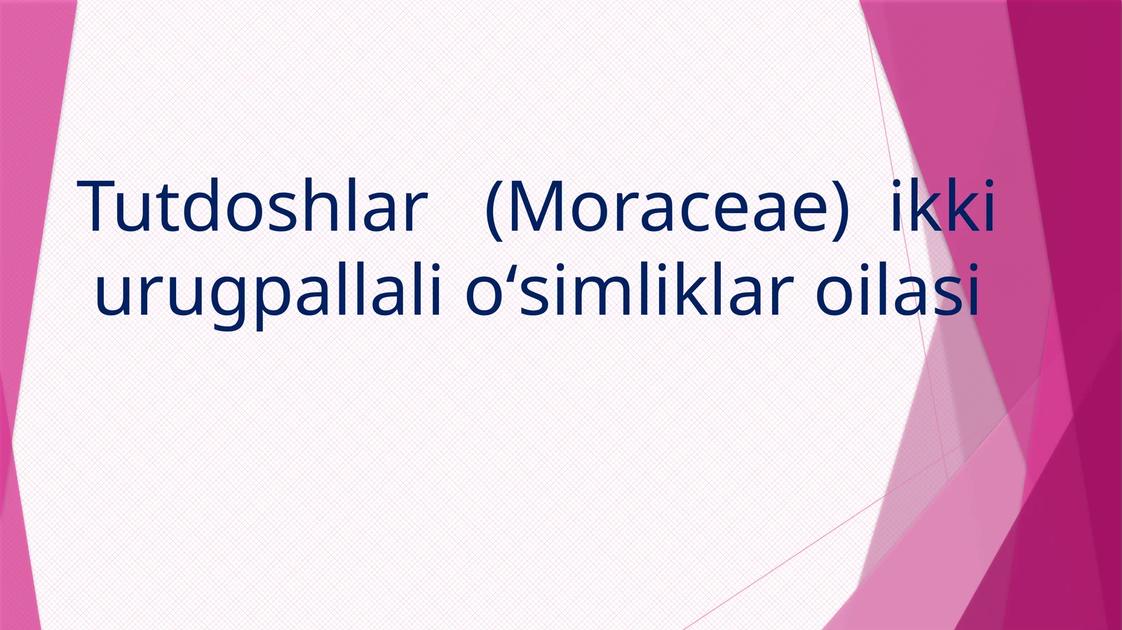 Tutdoshlar(Moraceae)ikkiurugpallalioʻsimliklaroilasi