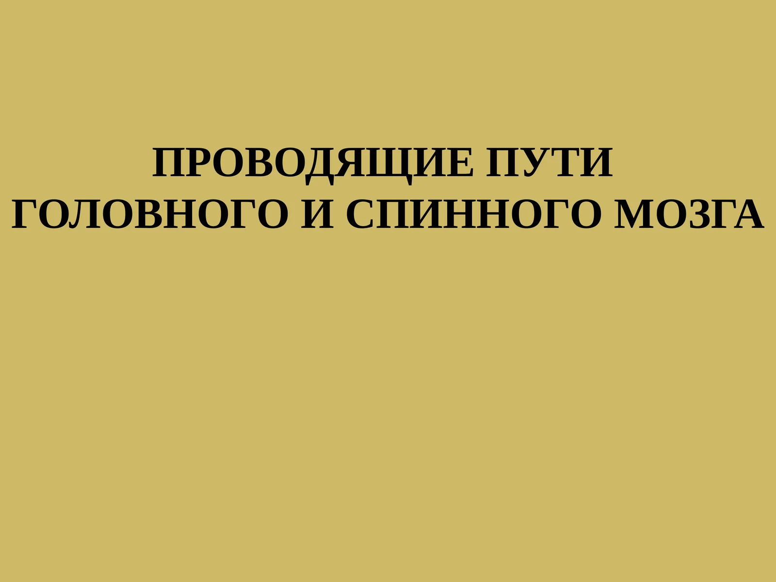 ПРОВОДЯЩИЕ ПУТИ ГОЛОВНОГО И СПИННОГО МОЗГА