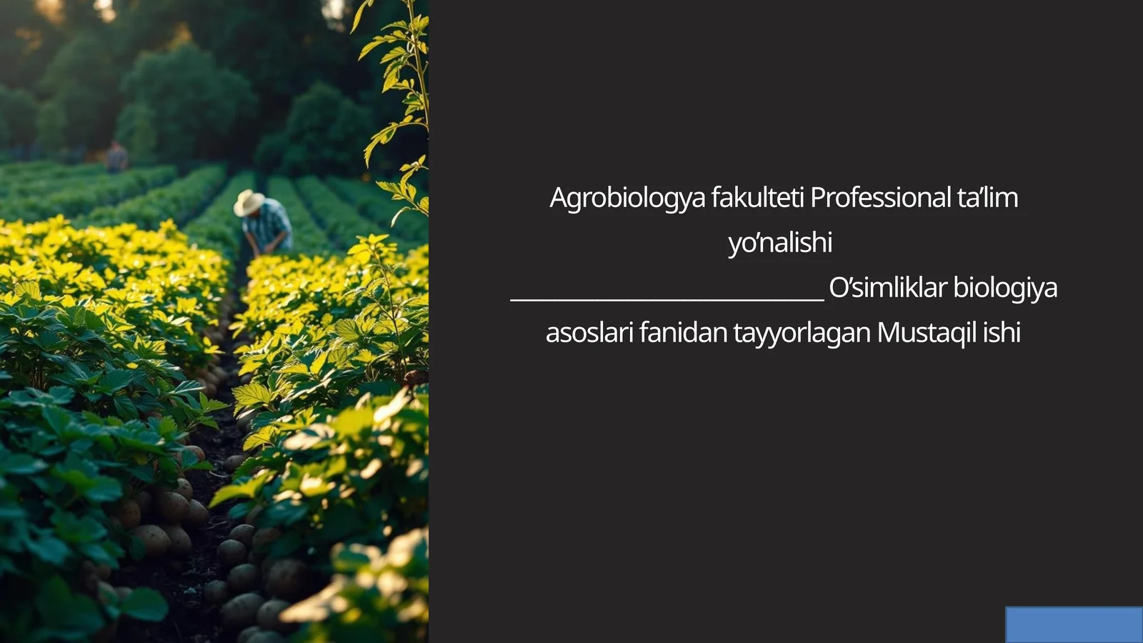Takroriy ekin sifatida  kartoshka yetishtirishning  biologik asoslari
