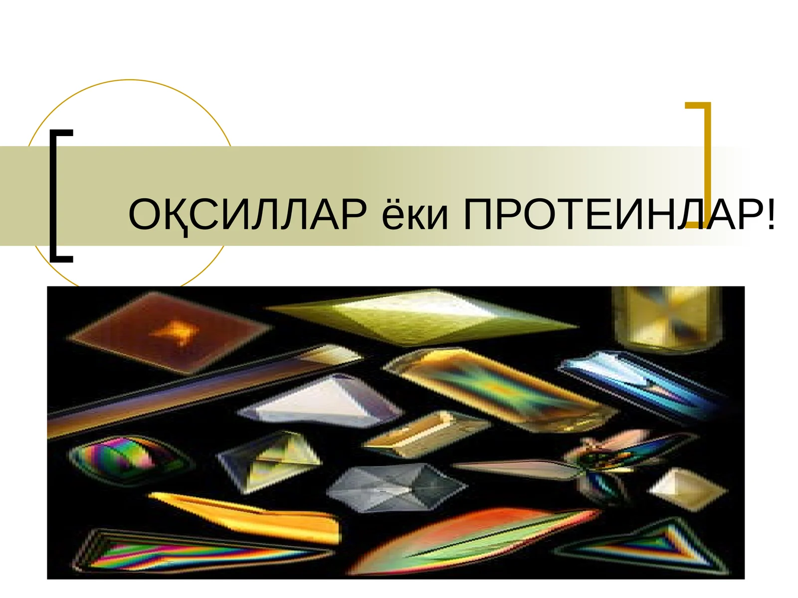 Оқсиллар ёки Протеинлар