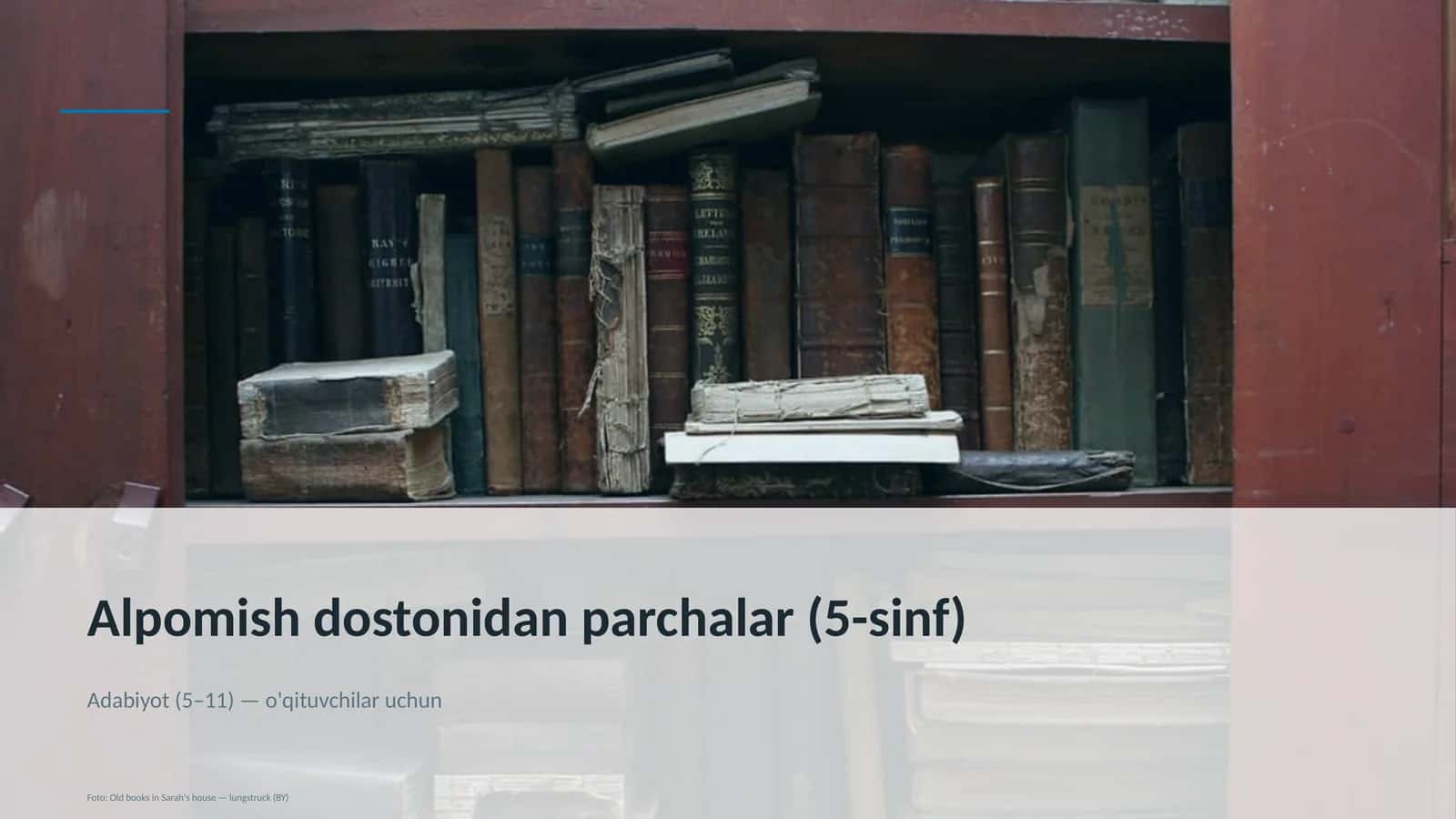 Alpomish dostonidan parchalar (5-sinf)