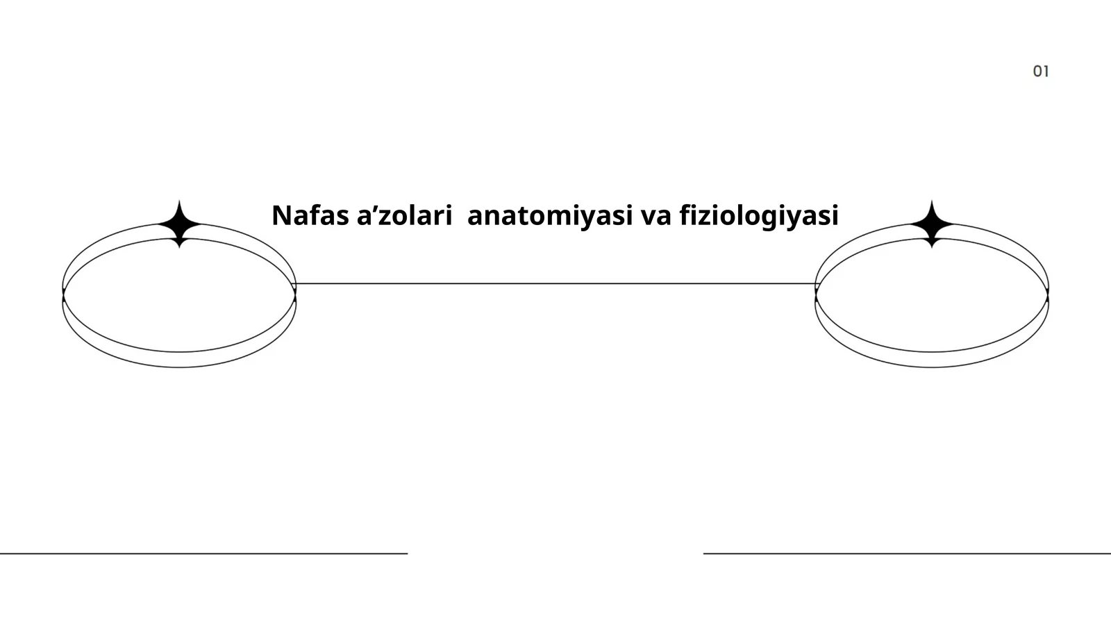 Nafas a’zolari anatomiyasi va fiziologiyasi