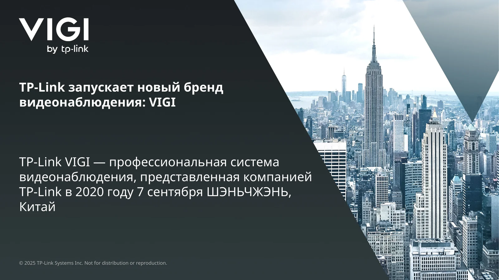 TP-Link VIGI