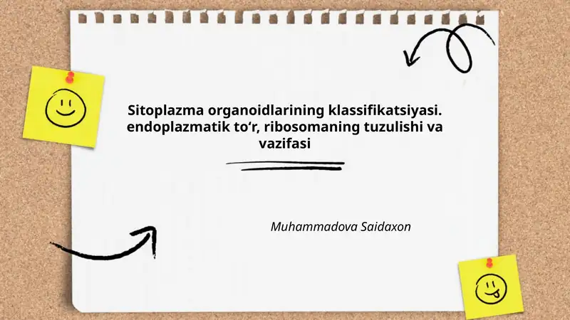 Sitoplazma organoidlarining klassifikatsiyasi